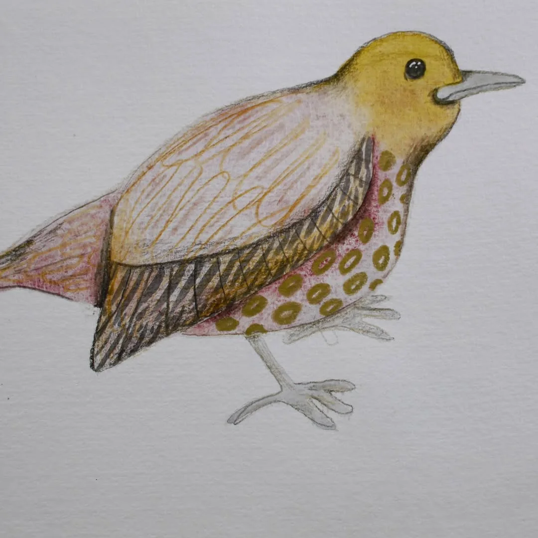 Beeld bij ‘Bird.’