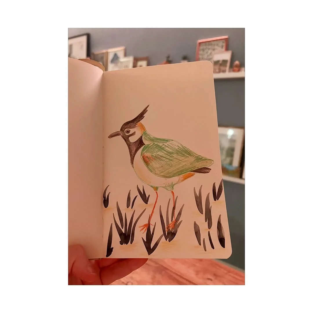 Beeld 2 van 2 bij ‘Some birt in my sketchbook’