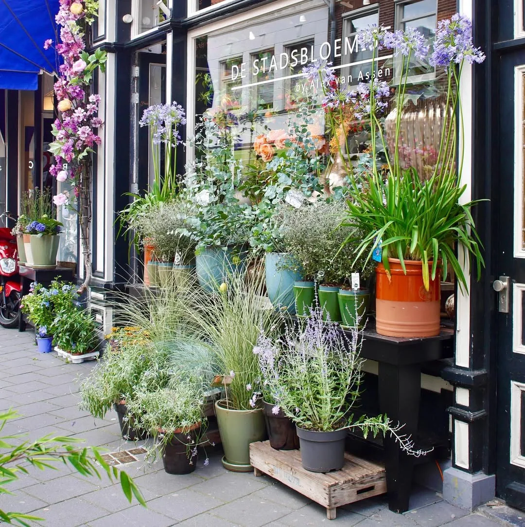 Beeld bij ‘Flowers..’