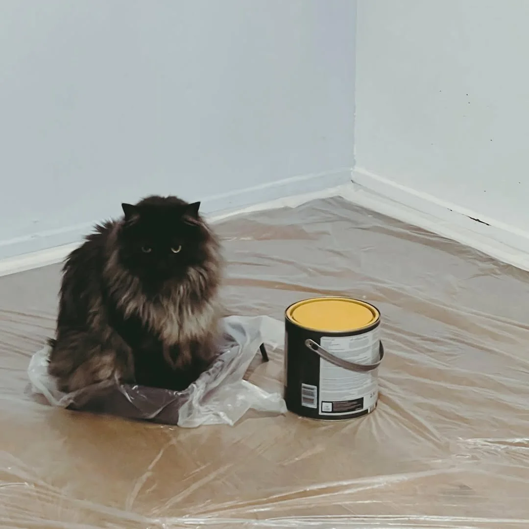Beeld bij ‘There is no paint in the blue thing.’