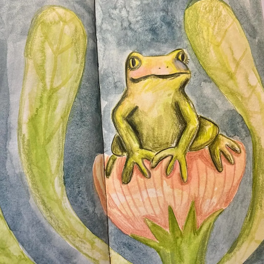 Beeld bij ‘Frog in sketchbook 🐸’