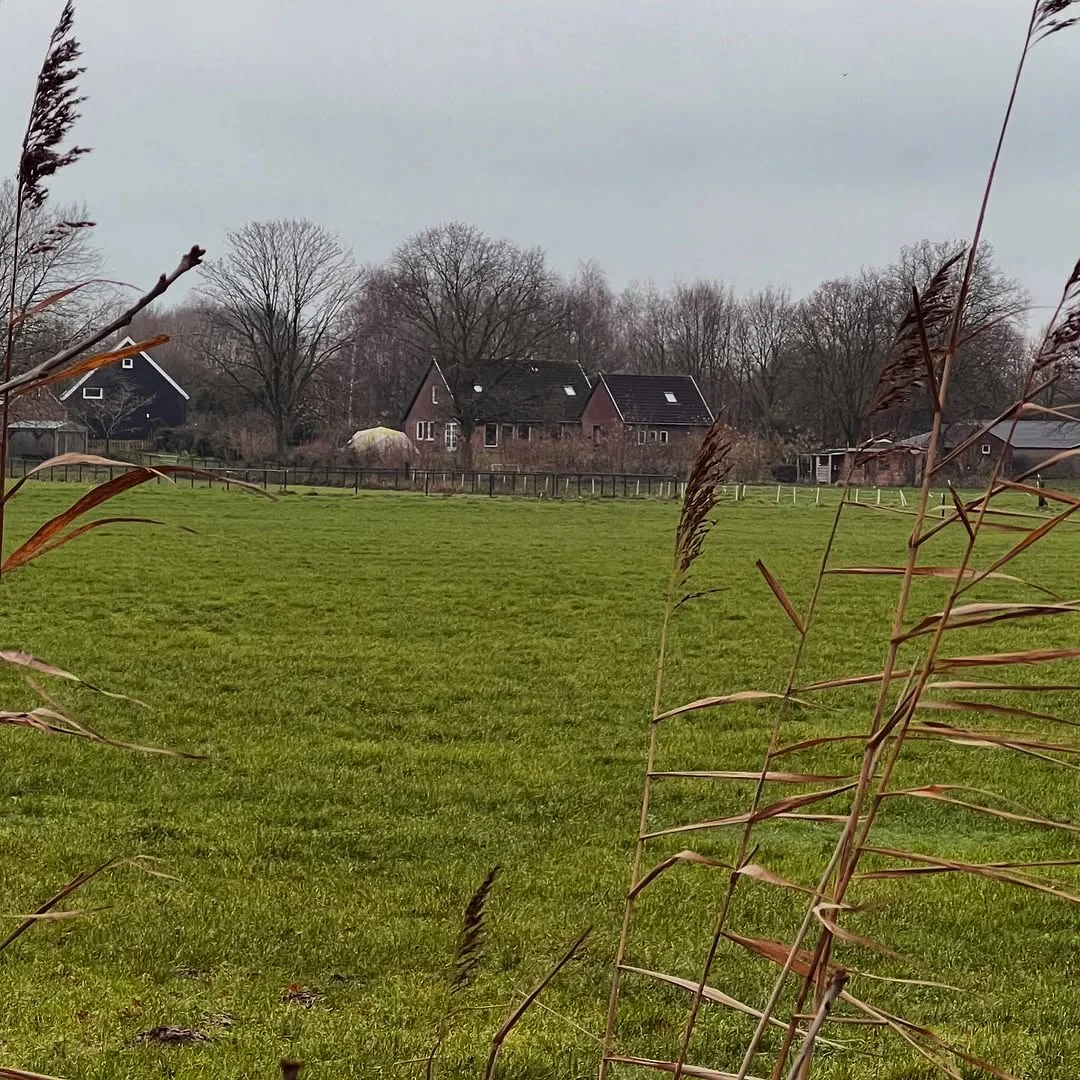 Beeld 3 van 3 bij ‘Sketch walk’