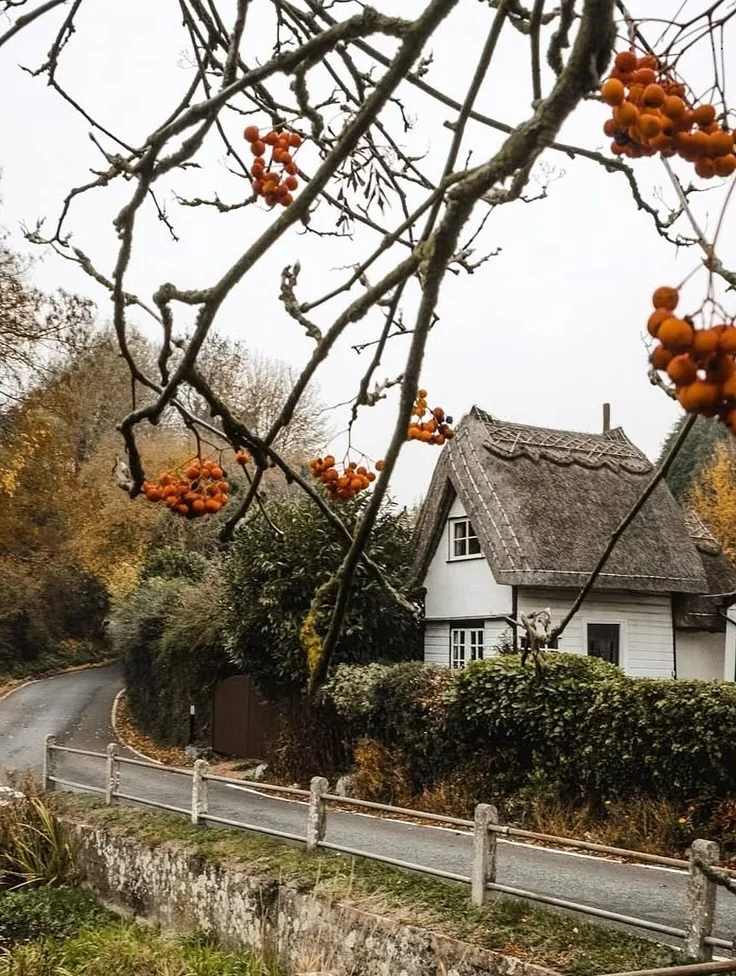Beeld 5 van 5 bij ‘Looking forward to autumn 🍂🏡✨ A winding road, a hidden little house, and the first signs of a…’