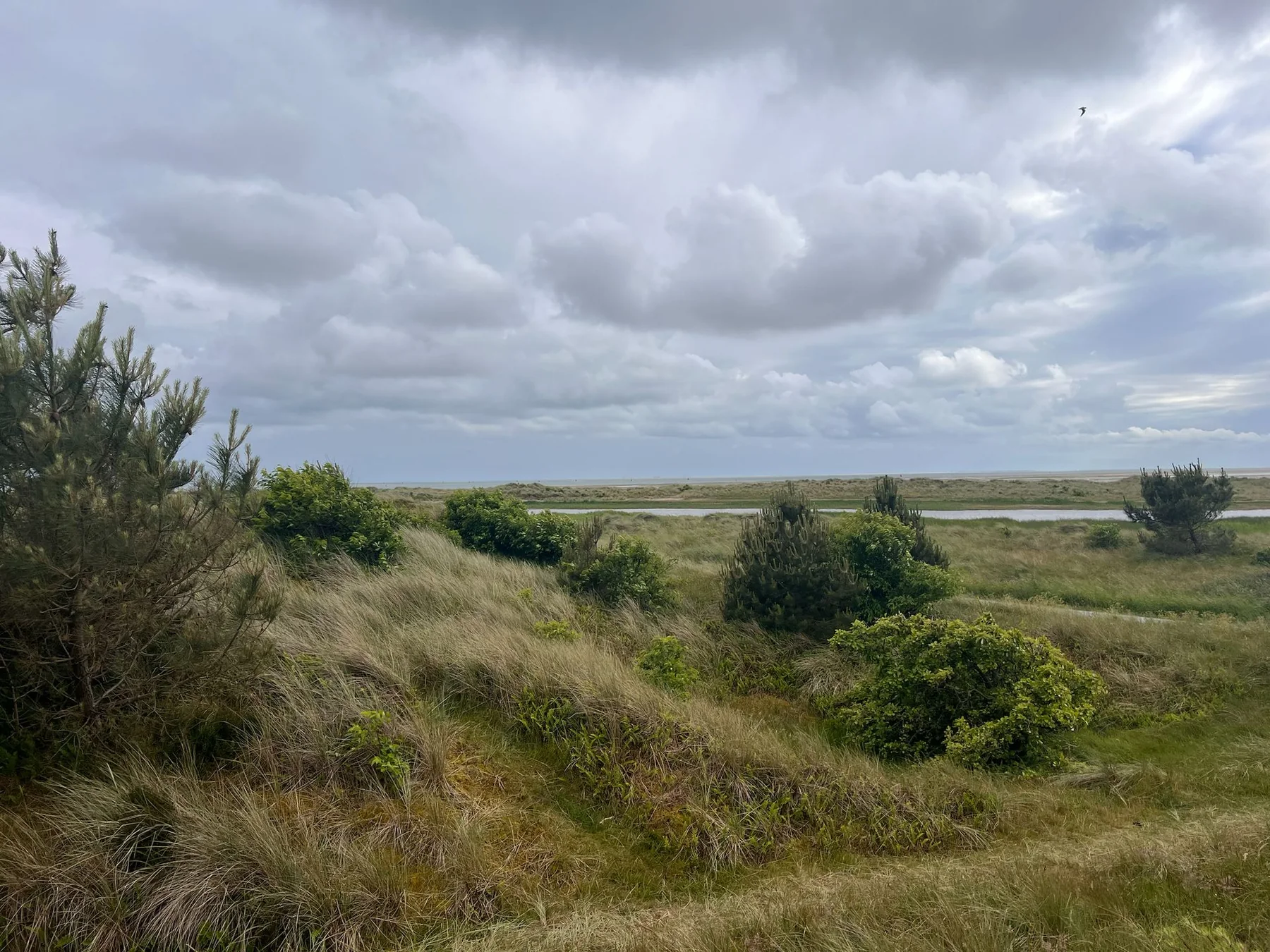 Beeld 3 van 4 bij ‘I am staging on Terschelling.’